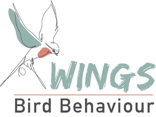Bird Behavior
